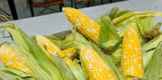 bowl of fresh corn on the cob