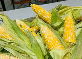 bowl of fresh corn on the cob