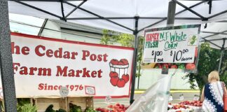 corn on the cob at a farmers market