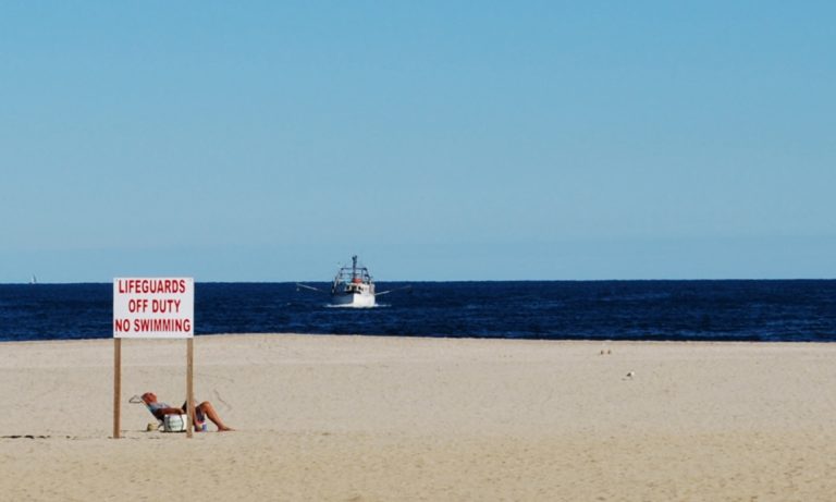 New Jersey Seafood Spots: The Local Dish