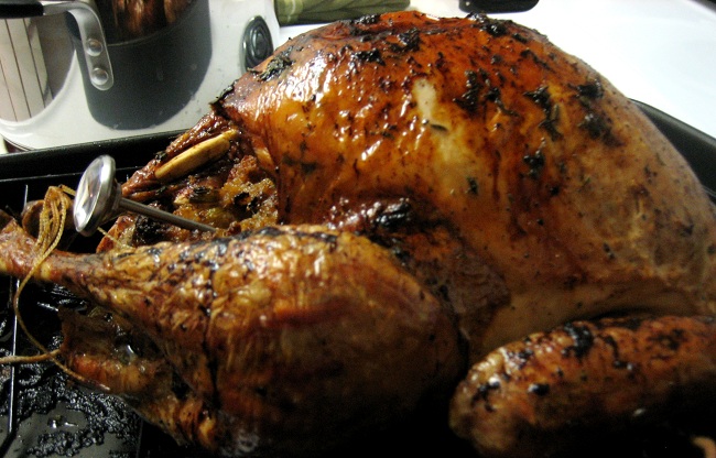 turkey-finished-better2