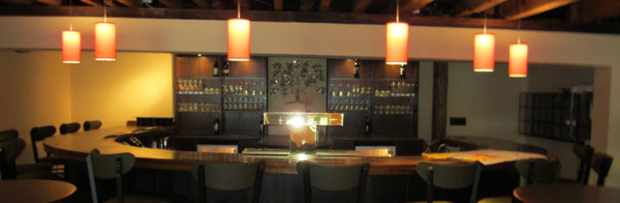 Twisted Elm Interior