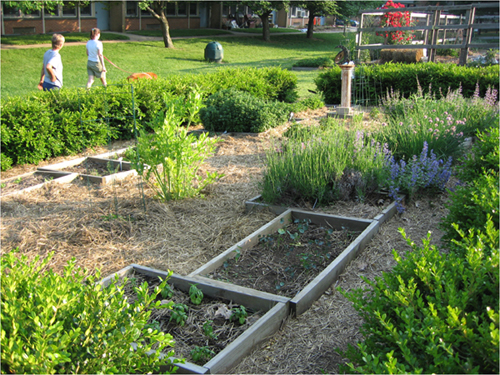 Growing School Gardens: An insiders guide to the Farm to School movement
