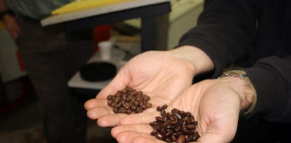 Small World Coffee in Princeton New Jersey