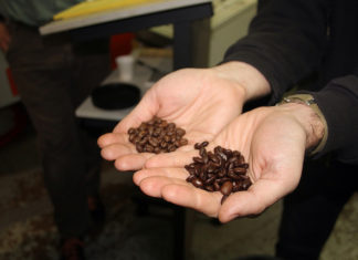 Small World Coffee in Princeton New Jersey