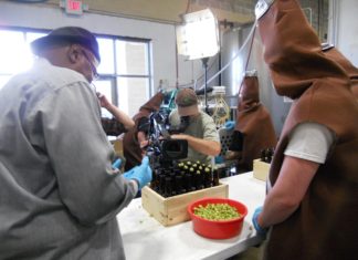 MF stuffing Hops at Oso Brewery