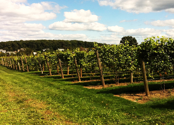 Turnpike? Fuggedaboutit. Try a North Jersey Wine Trail