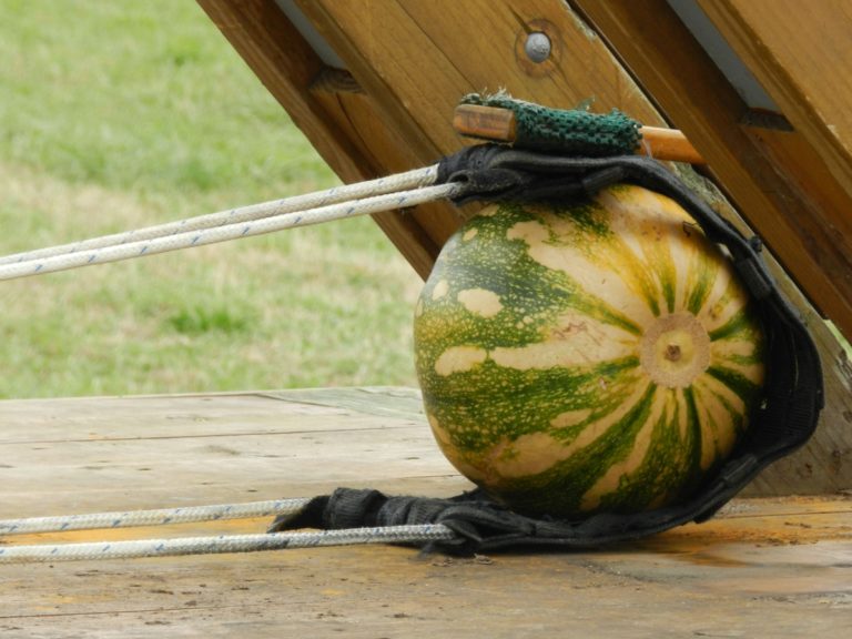 Pumpkins, Chili and Beer at Annual Pumpkin Fling