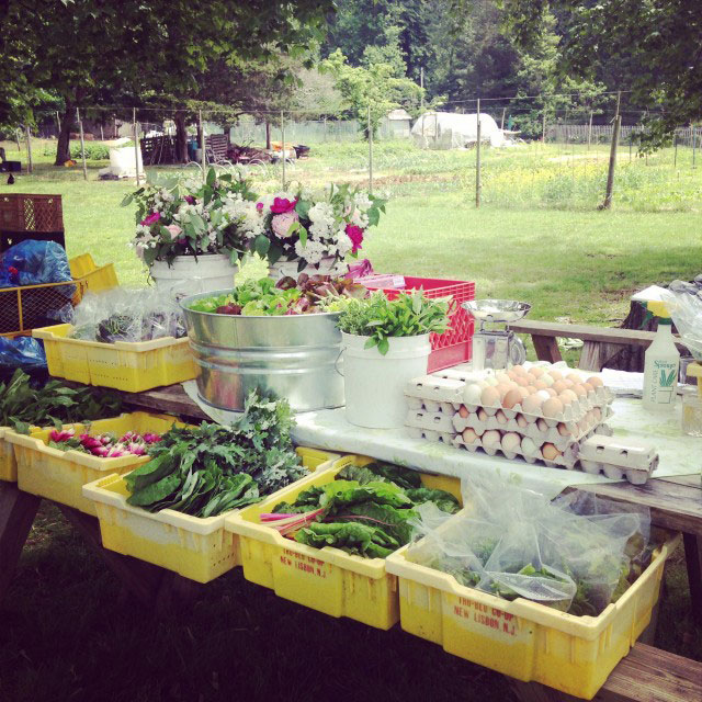 Cookin’ Local, CSA-Style