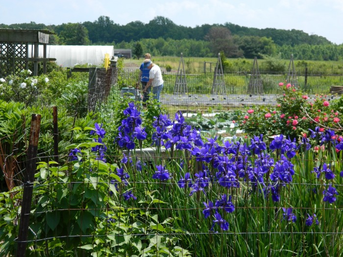 EARTH Center Master Gardener Class