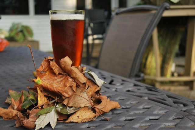 Flavorful Fall Beers and Cider