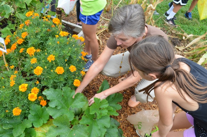 Jersey Farms Meet Jersey Schools