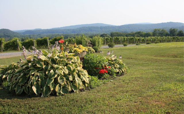 Villa Milagro Vineyards Earns National Recognition