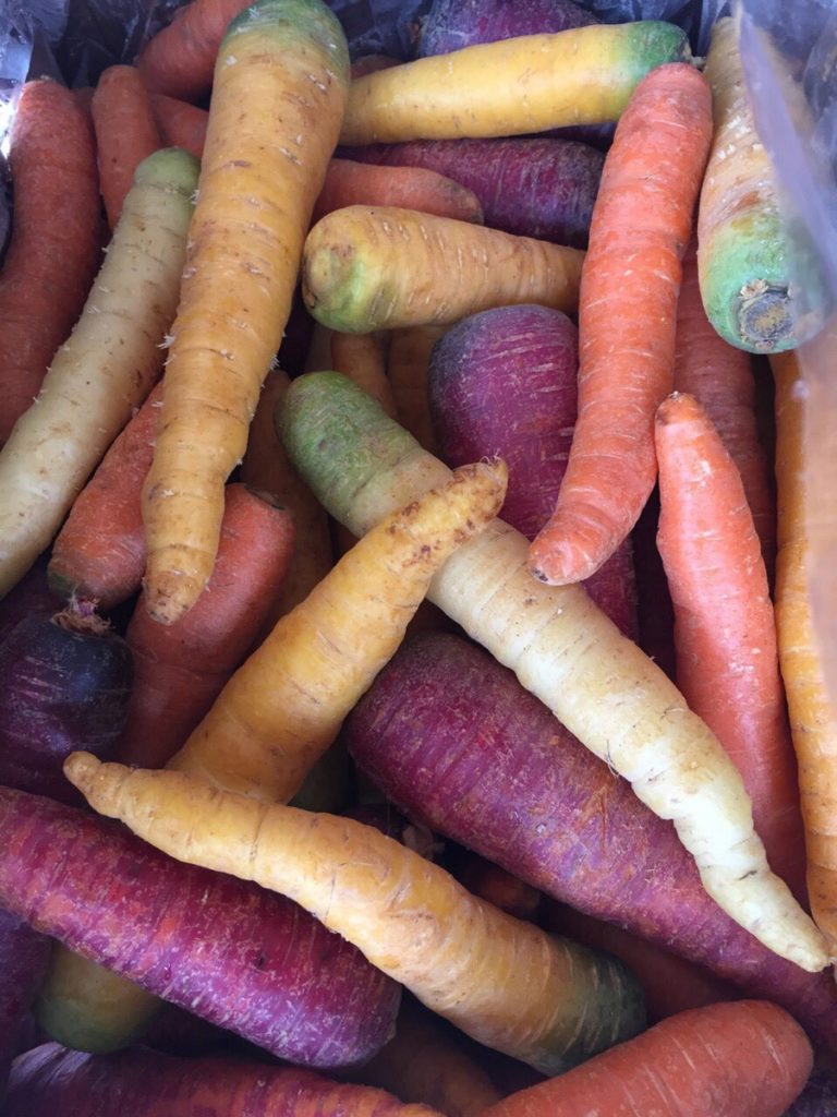 Just Farmed: Not Your Everyday CSA