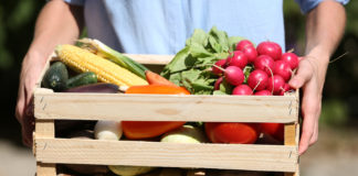 Fresh organic vegetables in wooden box in hand outdoors