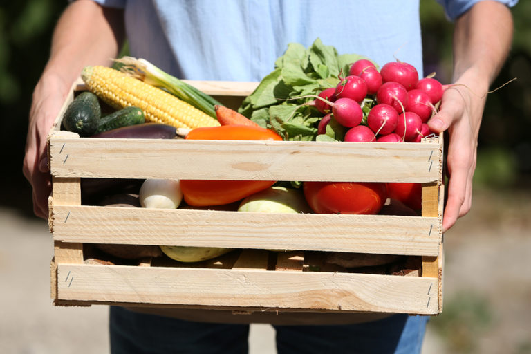 Community Supported Agriculture: What is a CSA?