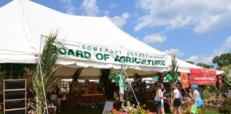 County Fairs New Jersey