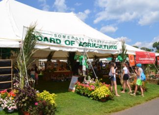 County Fairs New Jersey