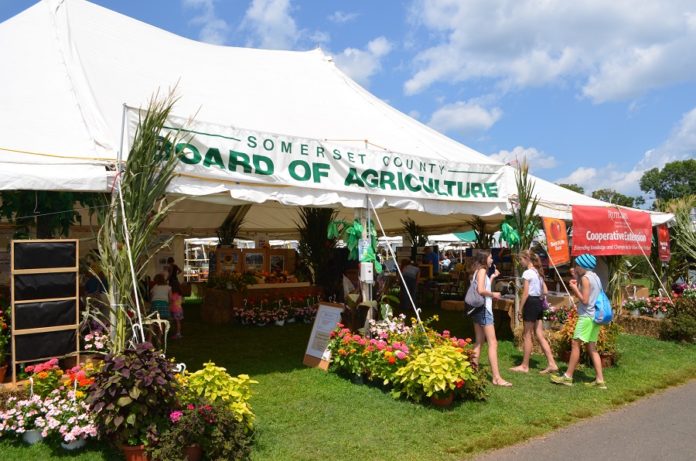 County Fairs New Jersey