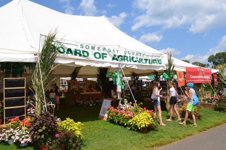 County Fair Season Arrives in the Garden State