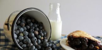 blueberry season in new jersey