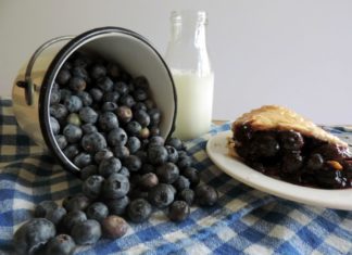 blueberry season in new jersey