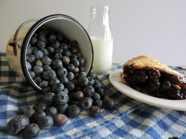 Beautiful New Jersey Blueberries