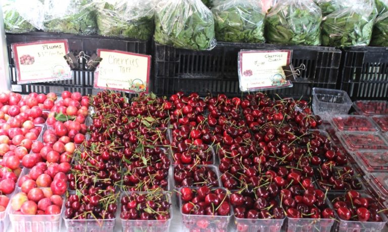 The Garden State and the Square Mile