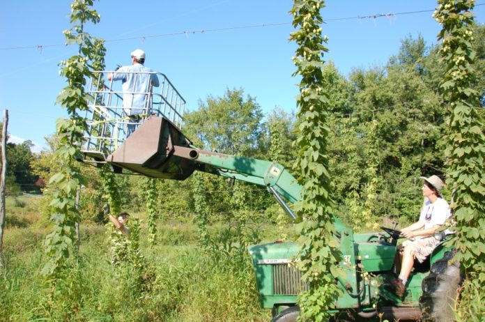 hops farm New Jersey hops farms