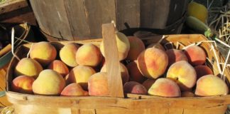 New Jersey Peaches