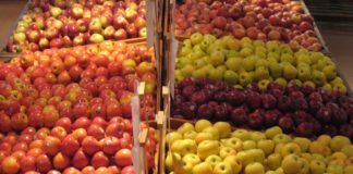 Apples at Battleview Orchards