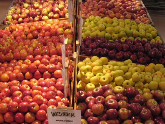 Apples at Battleview Orchards