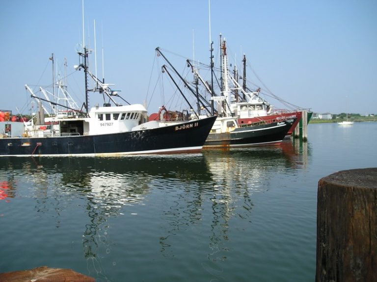 NJ Fisheries: Harvesting Jersey Fresh Seafood Daily