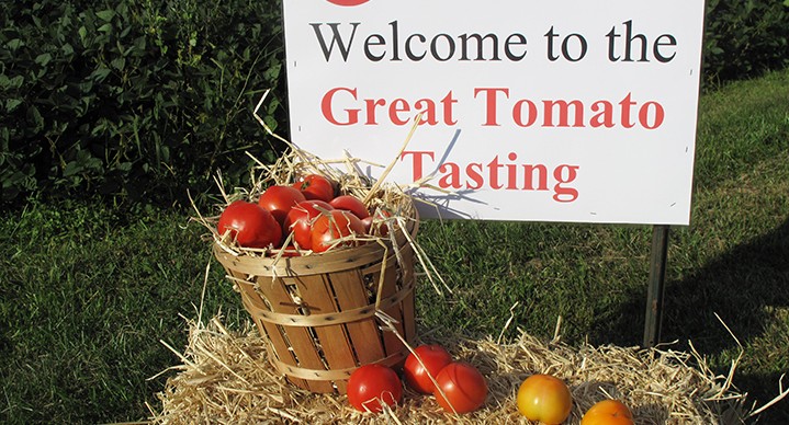 The Great Tomato Tasting