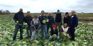Gleaning Jersey Fresh Fridays