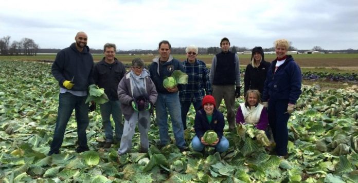 Gleaning Jersey Fresh Fridays