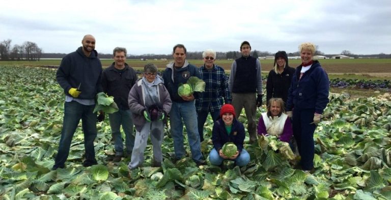 Gleaning Leaves No Produce Behind