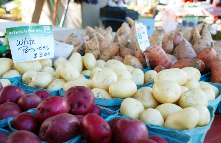 Jersey Fresh Heads into Fall