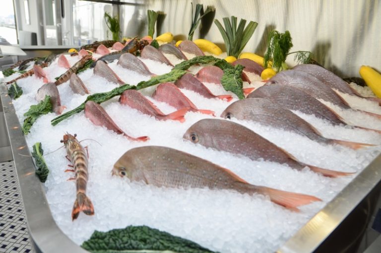 Weehawken’s Molos: Extraordinary Seafood and Breathtaking Views