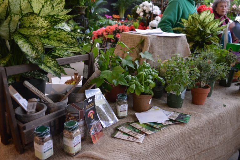 Sickles Market: An Education for Cooks and Gardeners