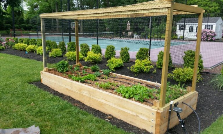 Yard2Kitchen Brings Organic Gardening Home