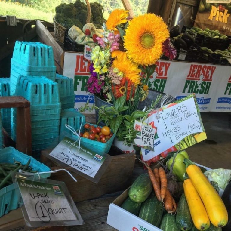 B&B Farms: Pick Blueberries, Sign Up for Their CSA and more