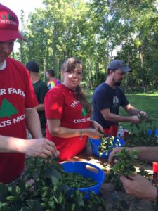 Jughandle staff at the Fir Farm hop harvest. Credit Mandy Hanigan