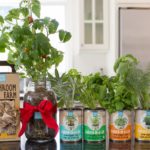 holidaysets14_1024x1024