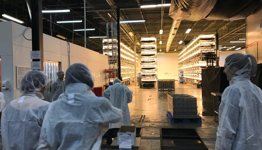 Aerofarms tour of their Newark facility