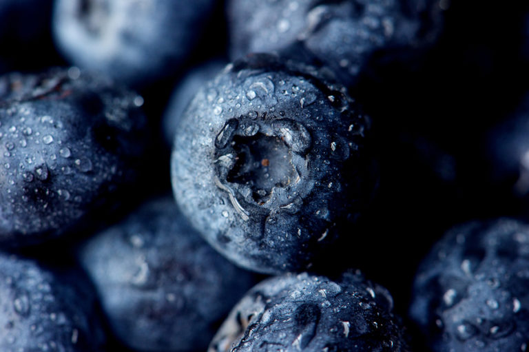 Blueberry Cocktail Recipes from Spuntino