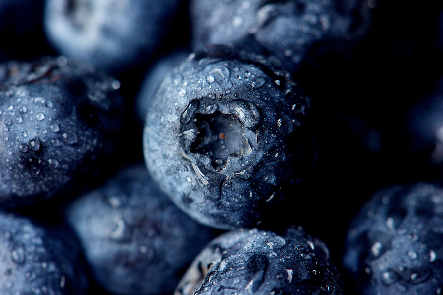 Blueberry Cocktails from Spuntino
