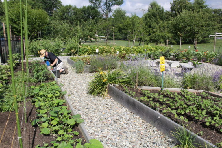 Help Fulfill Win $25,000 for Community Garden Program 