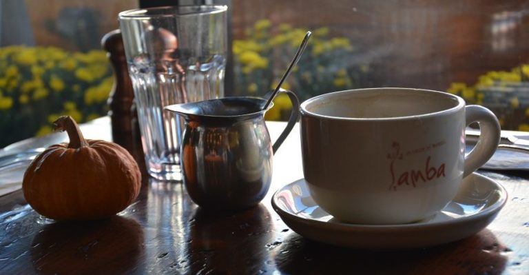 Samba’s Chef Gonçalves Traces Journey to NJ from Brazil