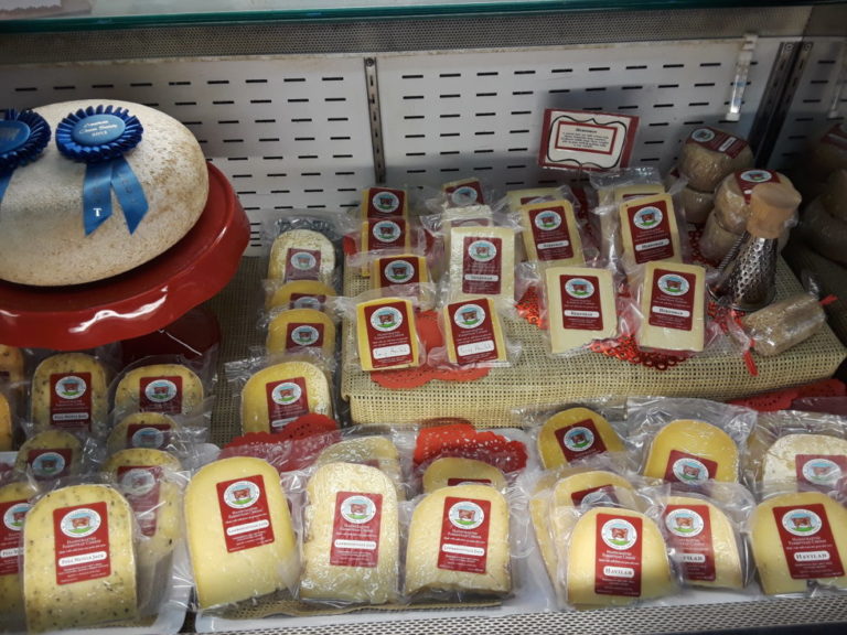 A Visit to Cherry Grove Farm in Lawrenceville